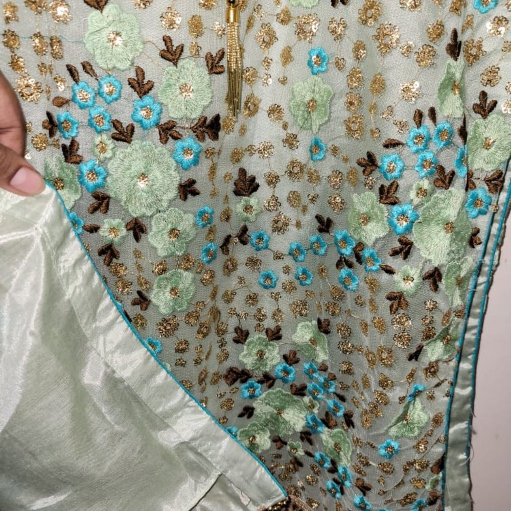 Desi Traditional Indian/Pakistani/Bangladeshi Kameez with Lehenga(Skirt) Dupatta - Picture 9 of 17